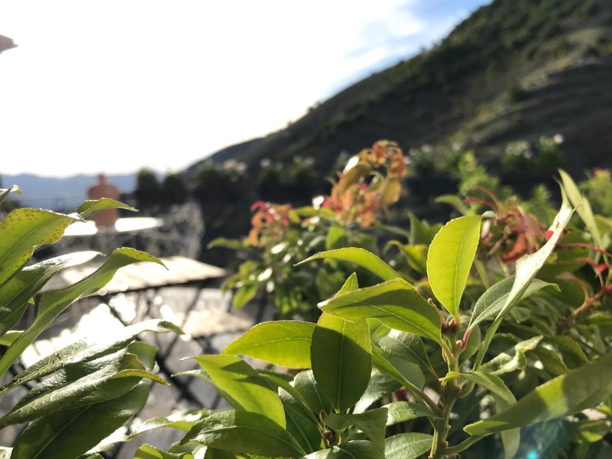 Borgo Manca Suite Sasso di Castalda Eksteriør billede