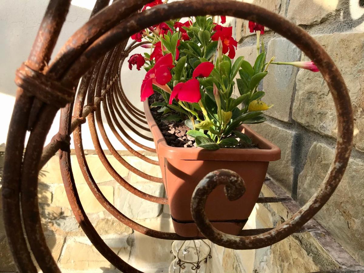 Borgo Manca Suite Sasso di Castalda Eksteriør billede